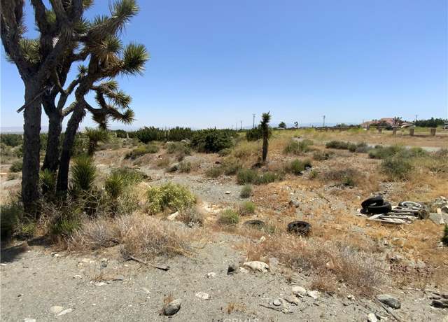 Property at 2975 Yucca Terrace Dr, Pinon Hills, CA 92372