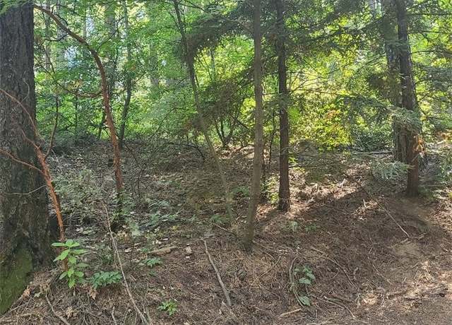 Property at 17141 Edgewood Way, Cobb, CA 95426