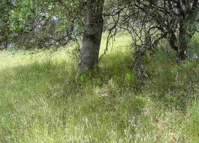 Property at 15709 Cache Creek Rd, Clearlake Oaks, CA 95423