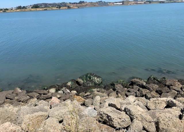 Property at 0 Hollister Ave, San Francisco, CA 94124