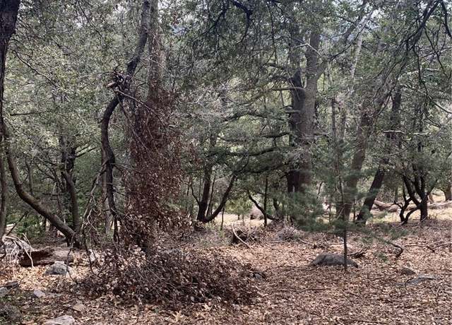 Property at 0 Burnt Mill Canyon Rd, Cedarpines Park, CA 92322