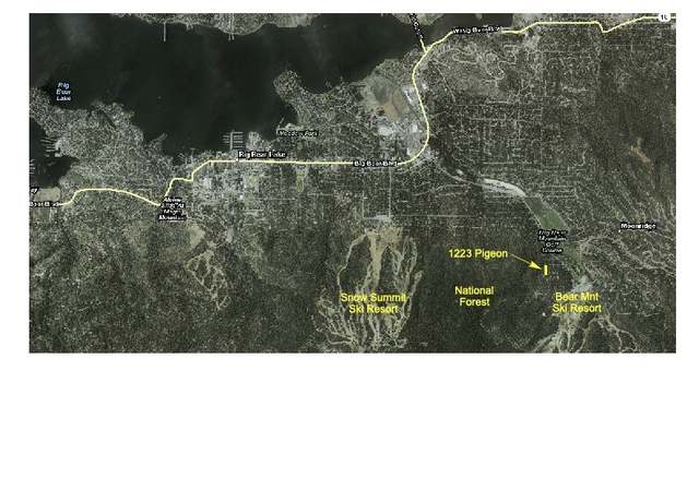 Property at 1223 Pigeon, Big Bear Lake, CA 92315