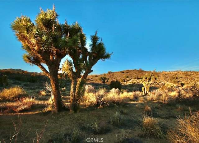 Property at 0 Onaga/Navajo, Yucca Valley, CA 92284