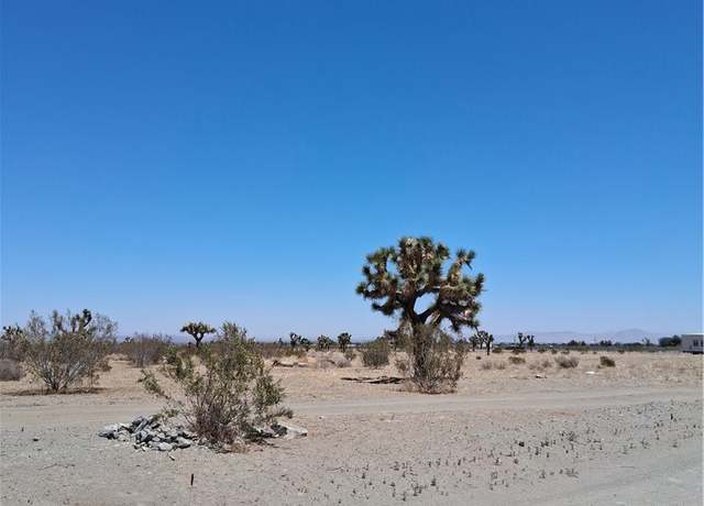 Property at 0 Danbury Rd, Phelan, CA 92371