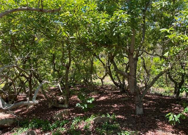 Property at 1 Vista Del Mar, Temecula, CA 92590