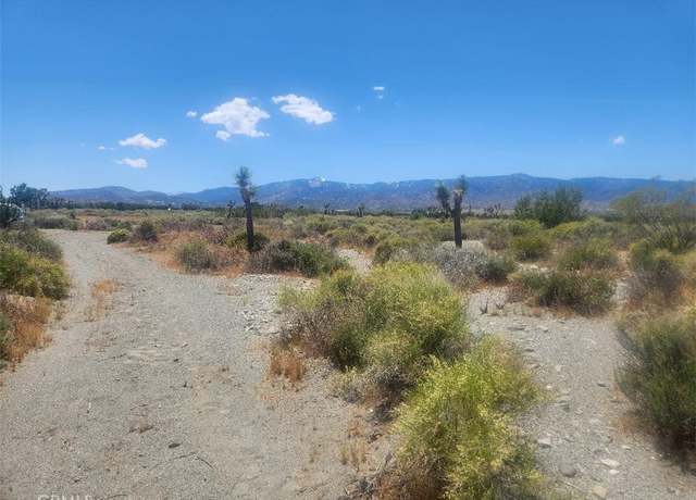 Property at 0 Minero Rd, Pinon Hills, CA 92372