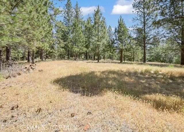 Property at 15000 Ponderosa Rd, Oregon House, CA 95919