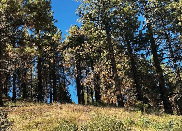 Property at 1 Conway Dr Dr, Running Springs Area, CA 92382