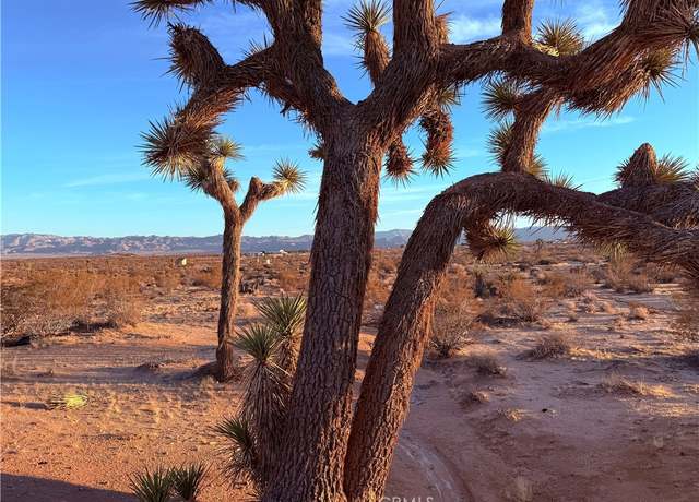 Property at 2700 Del Sol, Joshua Tree, CA 92252