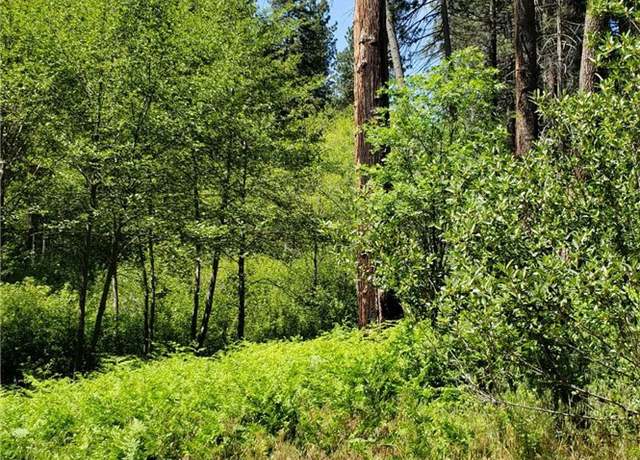 Property at 29531 Little Bear Creek Rd, Cedar Glen, CA 92321