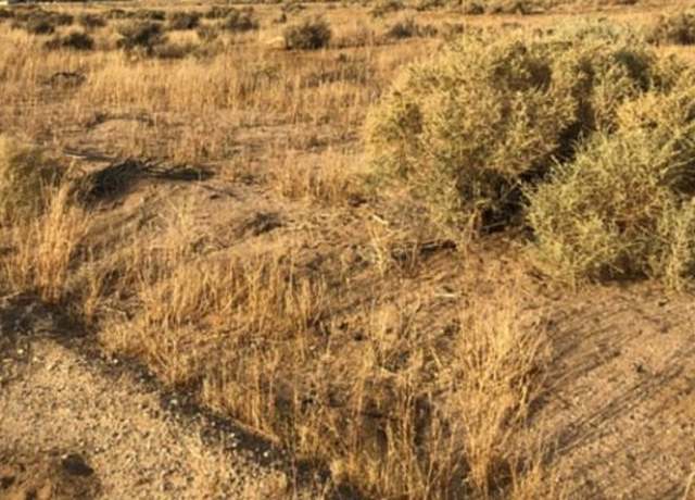 Property at 0 wonder Vly, 29 Palms, CA 92277