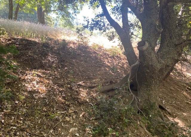 Property at 0 Mojave River Rd, Cedarpines Park, CA 92322