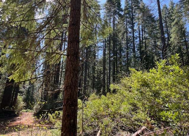 Property at 0 Juniper Ln, Strawberry Valley, CA 95981