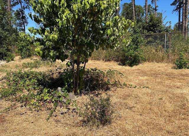 Property at 1345 Manhattan, Paradise, CA 95969