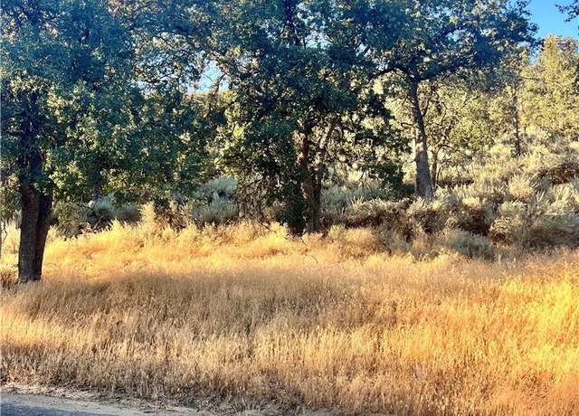 Property at 0 Alps Dr, Alpine Forest, CA 93561
