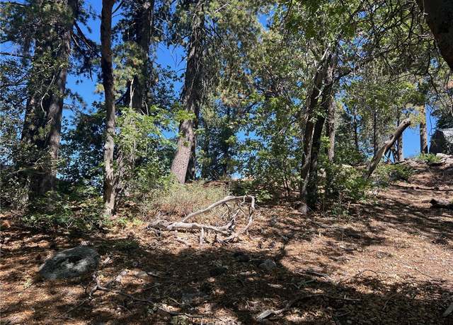 Property at 0 Tank Rd, Arrowbear, CA 92308