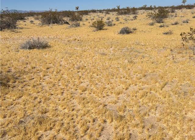 Property at 5 Mi N/O Shadow Mt Rd, Adelanto, CA 92301