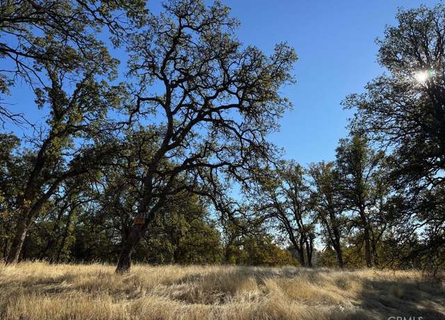 Property at 17333 Wagon Wheel Rd, Corning, CA 96021
