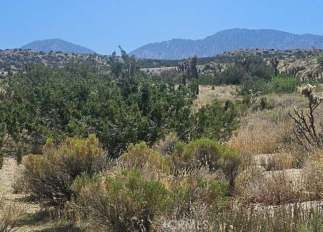 Property at 0 Avenue X / 136th St E, Pearblossom, CA 93553