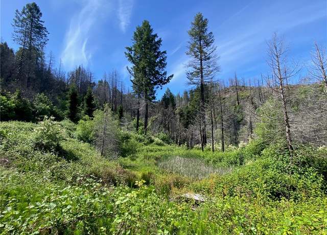 Property at 582 Eden Canyon Rd, Berry Creek, CA 95916