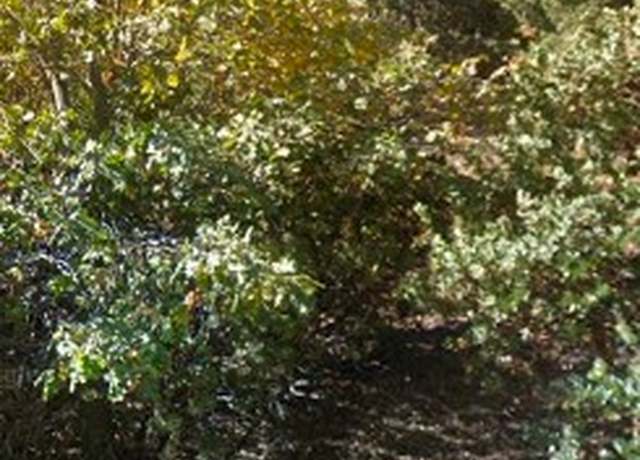Property at 0 Maplewood Dr, Lake Arrowhead, CA 92352