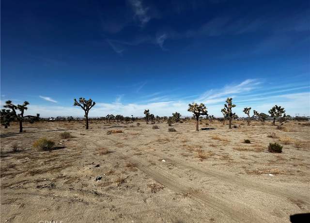 Property at 0 Arcadia, Pinon Hills, CA 92372