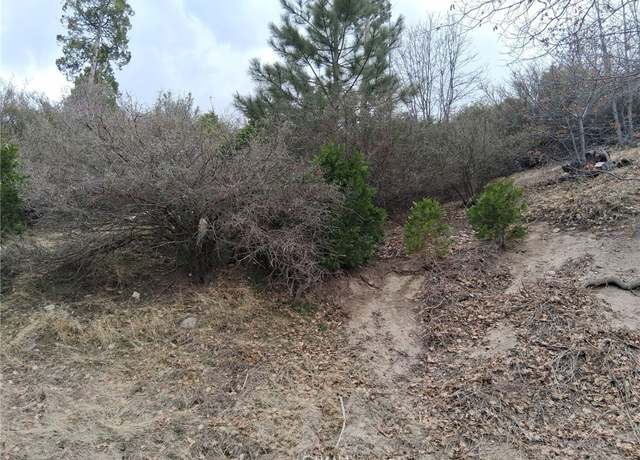 Property at 29602 Hook Creek Rd, Cedar Glen, CA 92321