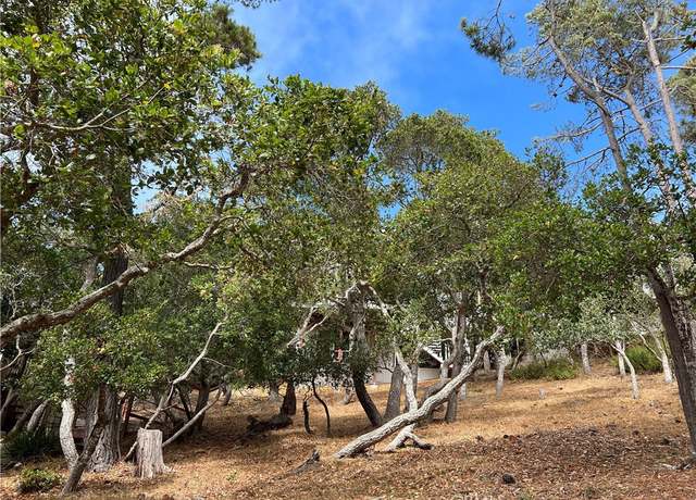 Property at 0 Norwich Ave, Cambria, CA 93428