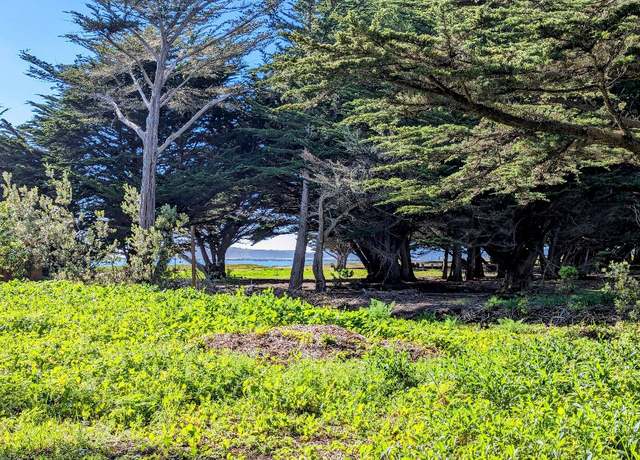 Property at 121 Magellan Ave, Half Moon Bay, CA 94019