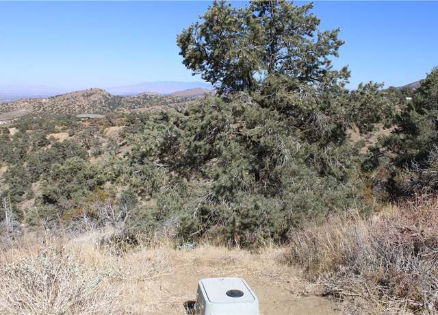 Property at 7935 Scenic Dr, Pinon Hills, CA 92397