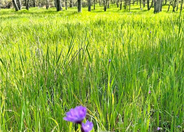 Property at 0 Old Wards Ferry Rd, Sonora, CA 95370