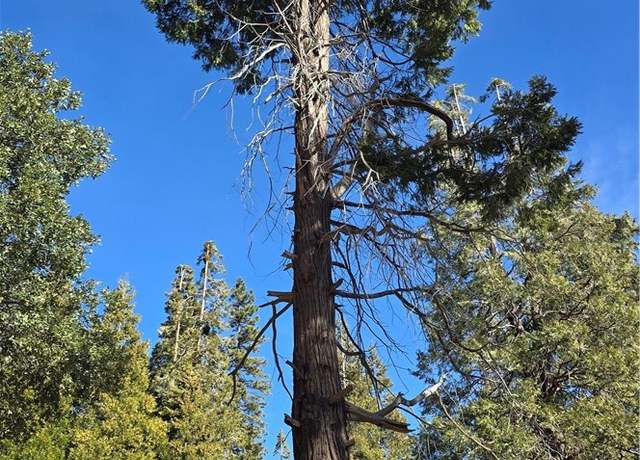 Property at 0 none, Cedarpines Park, CA 92322