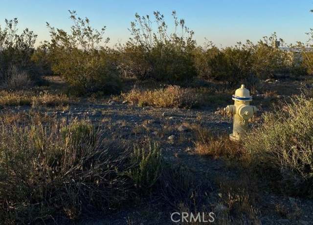 Property at 0 Calaveras, Pinon Hills, CA 92372