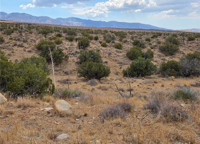 Property at 0 Vac/Vic 193rd St Ave E, Llano, CA 93544
