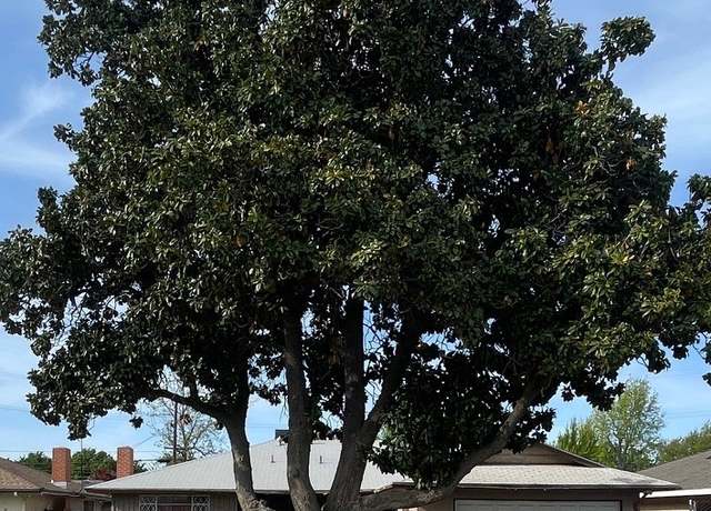 Property at 2303 E Austin Way, Fresno, CA 93726, 4 beds, 2 baths