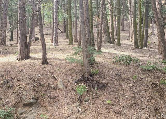 Property at 44 Reservoir Rd, Cedarpines Park, CA 92322