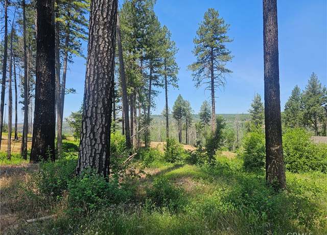 Property at 6649 Lincoln Dr, Paradise, CA 95969