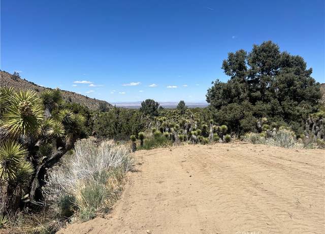 Property at 0 Evergreen Rd, Pinon Hills, CA 92372