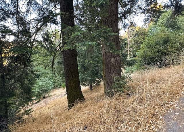 Property at 0 Fir St, Cedarpines Park, CA 92322