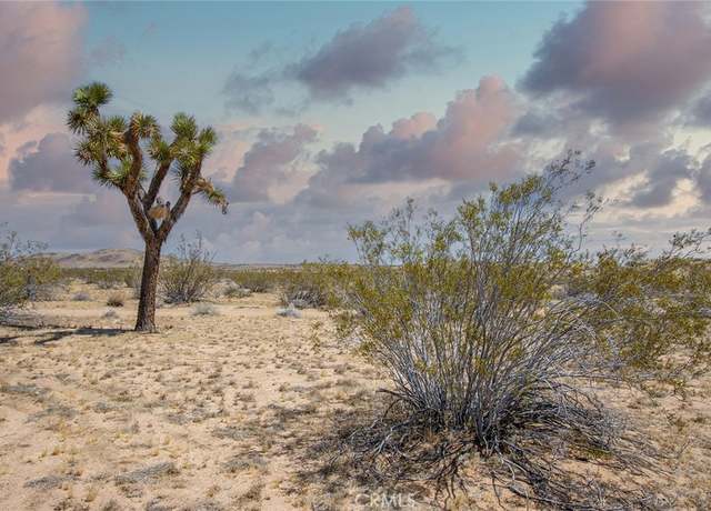 Property at 4444 Cielito Dr, Joshua Tree, CA 92252
