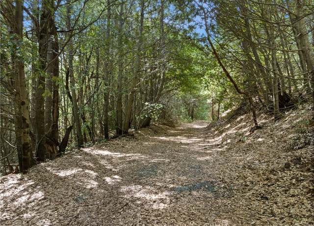Property at 63 Binet Rd, Clipper Mills, CA 95930