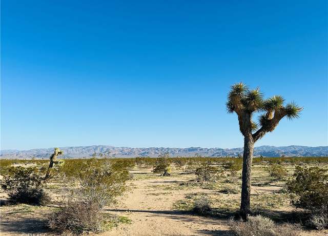 Property at 1974 Sunset Rd, Joshua Tree, CA 92252