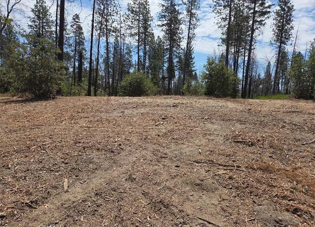 Property at 1090 Bald Rock Rd, Berry Creek, CA 95916