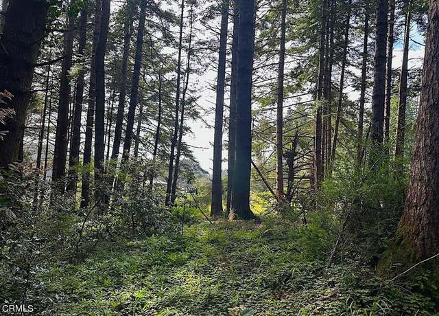 Property at 10435 Clark St, Mendocino, CA 95460