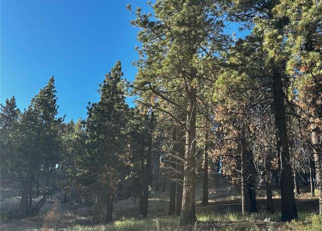 Property at 1 Crest Forest Dr, Cedarpines Park, CA 92322