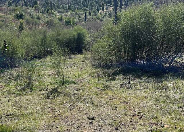 Property at 1234 Hog Ranch Rd, Oroville, CA 95965