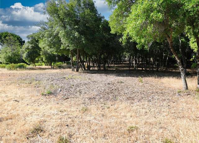 Property at 3157 Riviera Heights Dr, Kelseyville, CA 95451