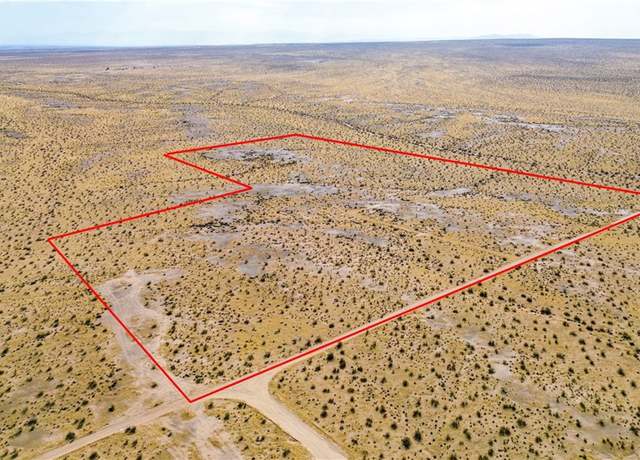 Property at 16101 Sweeten Ln, Helendale, CA 92342