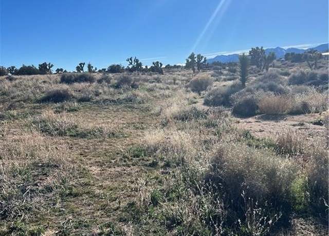 Property at 0 Tricobble Ct, Phelan, CA 92371