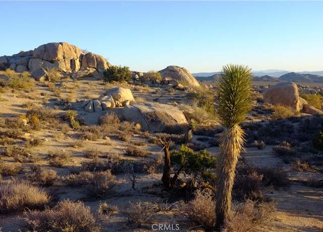 Property at 52588 Blackbrush Rd, Pioneertown, CA 92268